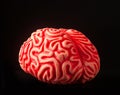 Human rubber brain
