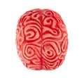 Human rubber brain
