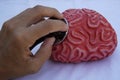 Human rubber brain with a stethoscope. Selective focus