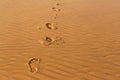 Human`s footprints on the wavy sand in desert Royalty Free Stock Photo