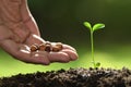 Human`s hand planting seeds in soil on nature Royalty Free Stock Photo