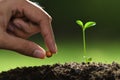 Human`s hand planting seeds in soil on nature Royalty Free Stock Photo