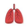 Human\'s lungs icon. Pneumonia, asthma, tuberculosis disease symbol. Check respiratory system. Anatomy design. vector