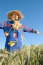 Human scarecrow Royalty Free Stock Photo