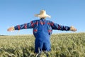 Human scarecrow Royalty Free Stock Photo