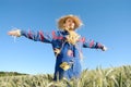 Human scarecrow Royalty Free Stock Photo