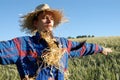 Human scarecrow Royalty Free Stock Photo