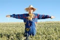 Human scarecrow Royalty Free Stock Photo