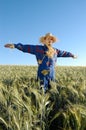 Human scarecrow Royalty Free Stock Photo