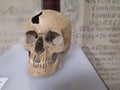 Human Scull in Church Royalty Free Stock Photo