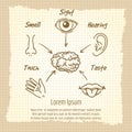 Human sense organs synopsis vintage poster Royalty Free Stock Photo