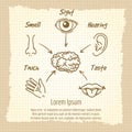 Human sense organs synopsis vintage poster