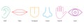 Human senses colorful line icon set. Vector illustration people part of body