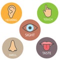 Human senses icon. Vector illustration, flat design