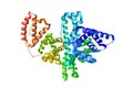 Human serum albumin complexed with hexadecanoic acid. Ribbons diagram. Rainbow coloring from N to C. 3d illustration