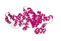 Human serum albumin complexed with hexadecanoic acid. Ribbons diagram in secondary structure coloring. 3d illustration