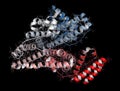 Human serum albumin protein, 3D rendering. Cartoon Royalty Free Stock Photo