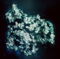 Human serum albumin protein, 3D rendering. Cartoon representation combined with semi-transparent surfaces.