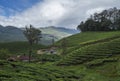 Human settlements in the tea estates of Munnar,Kerala,India