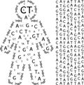 Human shaped out of chromosomes and nucleotides representing their genetic code