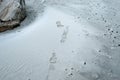 Human shoe print on cold white frozen beach