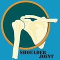 Human shoulder joint