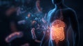 Human silhouette displays glowing brain and stomach connection surrounded by microscopic gut bacteria Royalty Free Stock Photo