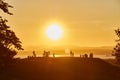 Human silhouettes standing on a hill in front of an orange sunset.