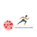 Fast twitch white muscle fiber type illustration Royalty Free Stock Photo