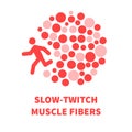 Slow twitch red muscle fiber tissue illustration Royalty Free Stock Photo