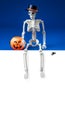 Human skeleton in black hat with pumpkin Jack O Lantern basket sits with its legs dangling on white banner for