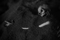 Toy human skeleton - Black and white, monochrome