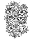 Human skeleton floral ribs pelvis bones torso svg human anatomy Royalty Free Stock Photo