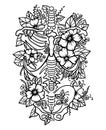 Human skeleton floral ribs pelvis bones torso svg human anatomy