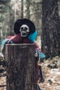 A human skeleton, a ghost, peeps out from behind an old mossy tree stump in the forest. Selective focus. Close-up