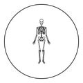 Human skeleton icon black color in round circle Royalty Free Stock Photo
