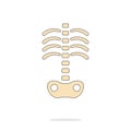 Human skeleton icon Royalty Free Stock Photo