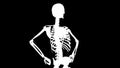 Human skeleton model rotate. Alpha matted