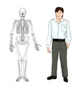 Human skeleton. Musculoskeletal system. Bones. Vector.