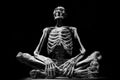 human skeleton people isolated black white art model medicine horror Royalty Free Stock Photo