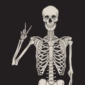 Human Skeleton Posing Isolated Over Black Background Vector