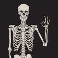 Human skeleton posing over black background vector illustration. Hand drawn gothic style placard, poster or print design