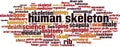 Human skeleton word cloud