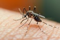 Human skin invaded by a mosquito, showcasing a close up annoyance