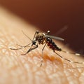 Human skin invaded by a mosquito, showcasing a close up annoyance