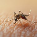 Human skin invaded by a mosquito, showcasing a close up annoyance