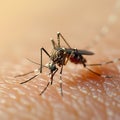 Human skin invaded by a mosquito, showcasing a close up annoyance Royalty Free Stock Photo