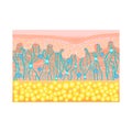Human skin structure with collagen and elastane fibers, hyaluronic acids, fibroblasts. Schematic illustration. Layers of