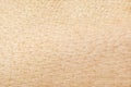 Human skin texture Royalty Free Stock Photo