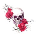 Human skull in branches, red rose flowers. Watercolor for Halloween